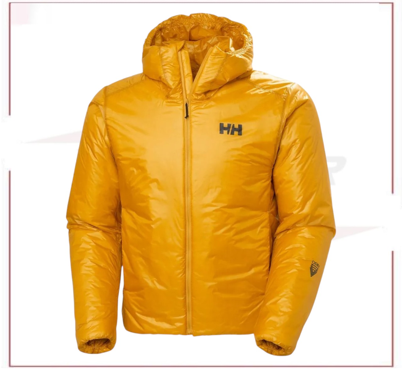 Men's Odin Everdown Hooded Jacket