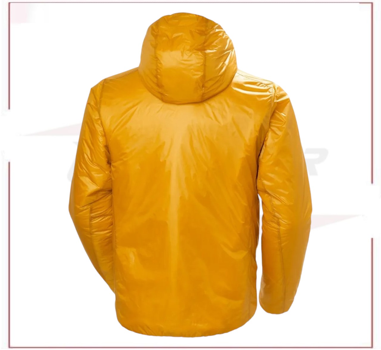 Men's Odin Everdown Hooded Jacket