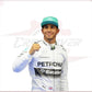 2014 Lewis Hamilton PETRONAS Mercedes F1 Race Suit CROSSOVER RACEWEARS