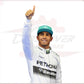 2014 Lewis Hamilton PETRONAS Mercedes F1 Race Suit CROSSOVER RACEWEARS