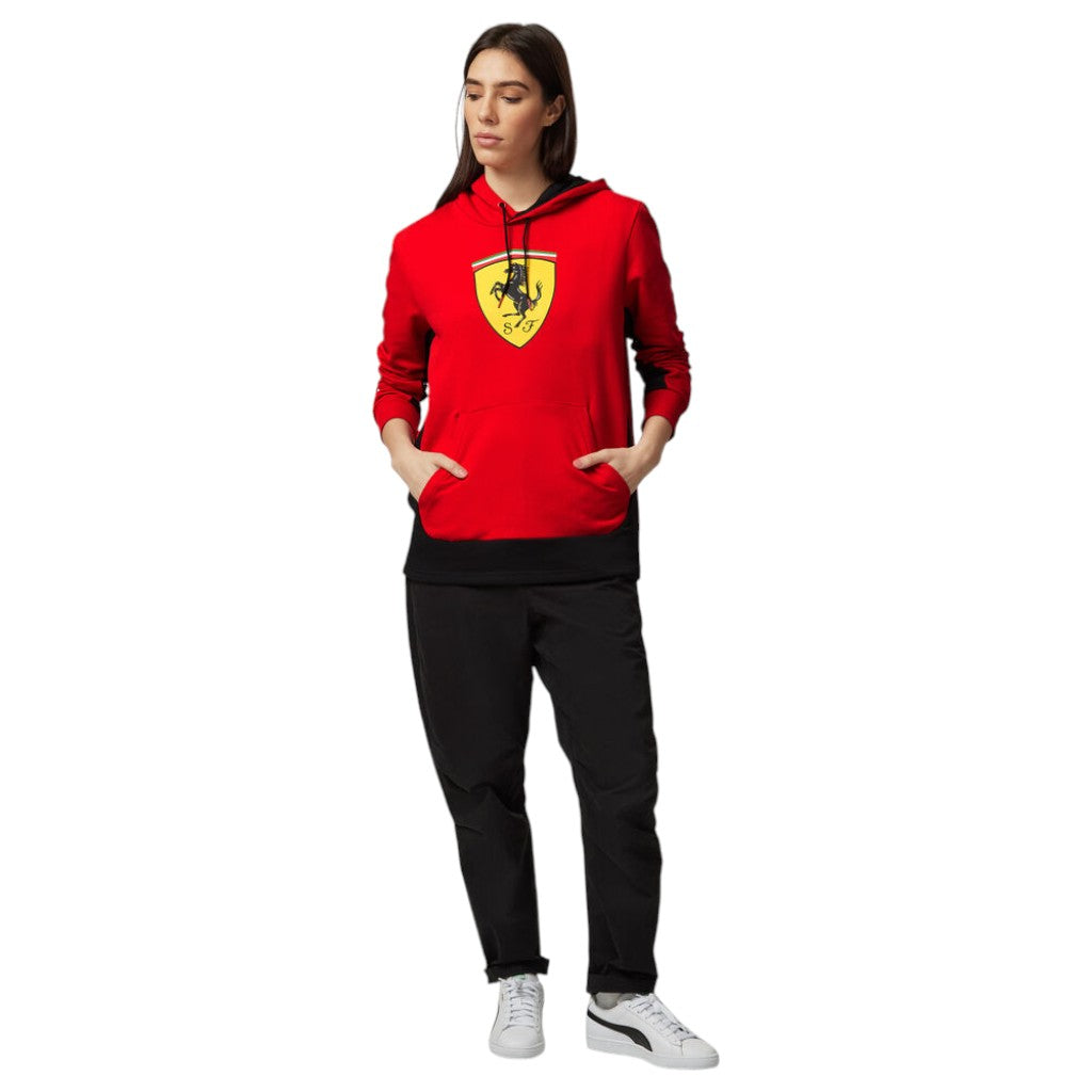 Person wearing a red hoodie with a logo and black pants on a white background