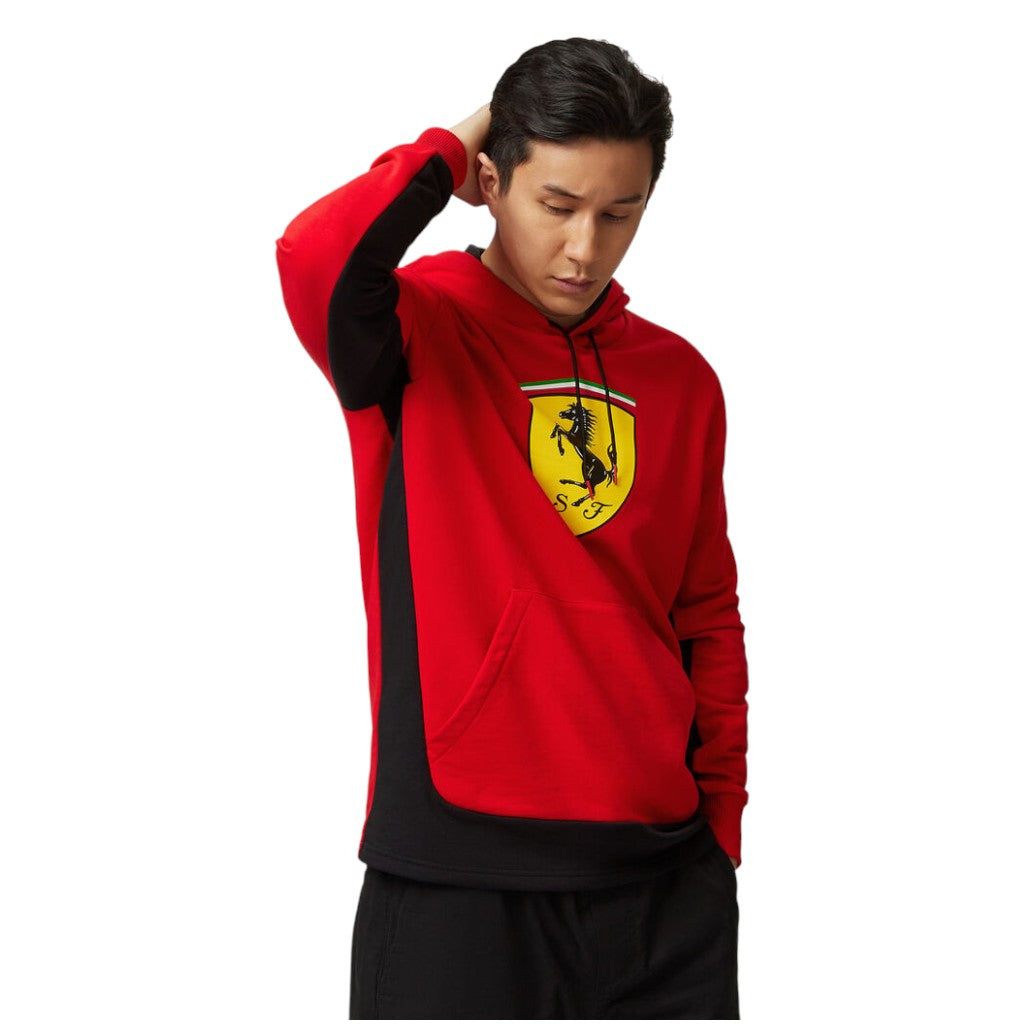 Person wearing a red hoodie with a logo on a white background
