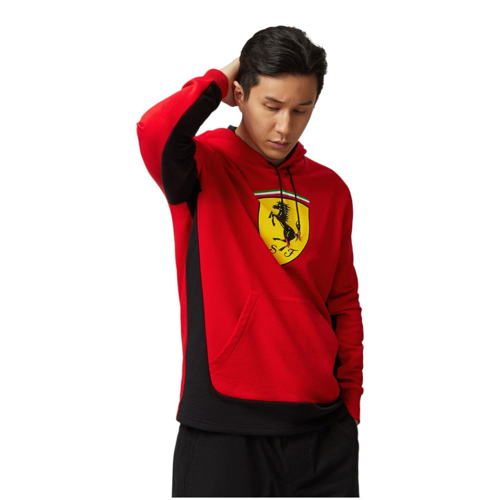 Person wearing a red hoodie with a logo on a white background